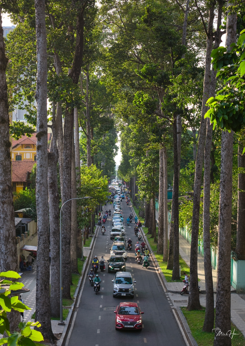 Đường Nguyễn Bỉnh Khiêm