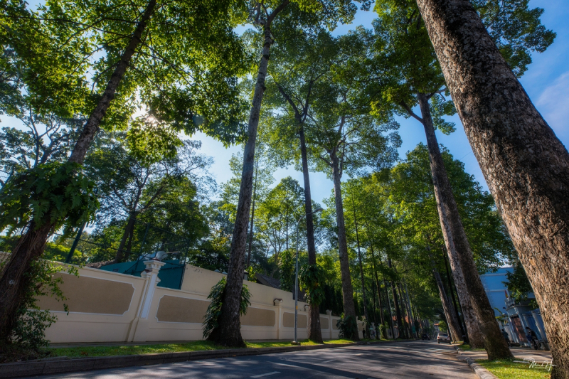 Đường Huyền Trân Công Chúa