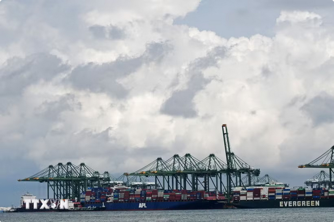 Các tàu chở hàng tại cảng Singapore. Ảnh TTXVN