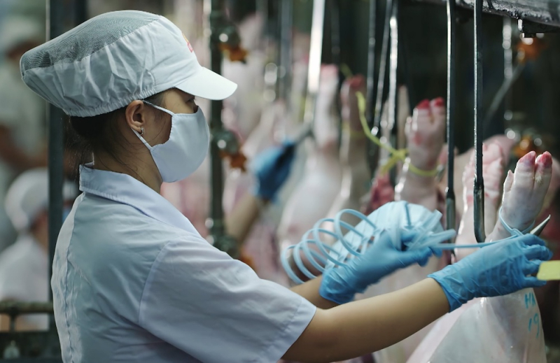Công nhân làm việc tại nhà máy của Vissan