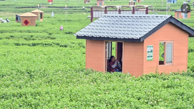 Hoành Châu được mệnh danh là 