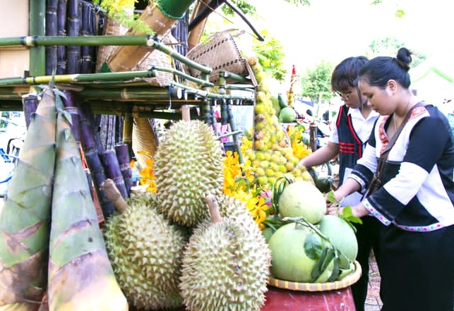 Thổ nhưỡng Khánh Sơn cho ra hoa thơm trái ngọt lại thường