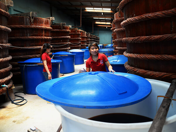 Nước mắm Phú Quốc được ủ và chắt theo phương thức truyền thống. Ảnh: T.L