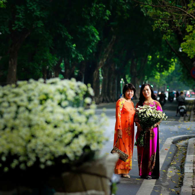 Dọc đường Phan Đình Phùng, rất nhiều người ôm cúc họa mi ra chụp ảnh. Những bông cúc trắng tinh khôi rất phù hợp với không gian con đường nhiều cây xanh và không quá đông người qua lại.