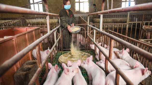Giá thịt lợn lần đầu tiên giảm sau 18 tháng tại Trung Quốc. Ảnh: CNBC