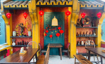 Rêu chọn sống xanh