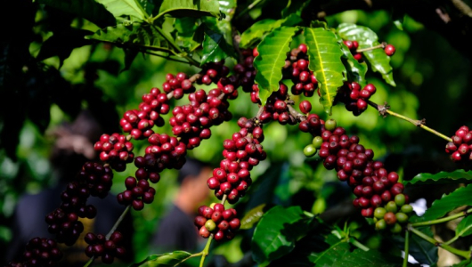 Xuất khẩu Việt Nam: Thách thức và cơ hội nâng cao vị thế trong chuỗi giá trị toàn cầu