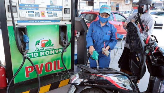 Các hãng xe xác nhận về xăng E10 trước ngày áp dụng toàn quốc