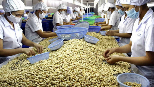 Xuất khẩu nông, lâm, thủy sản 5 tháng tăng trên 9%