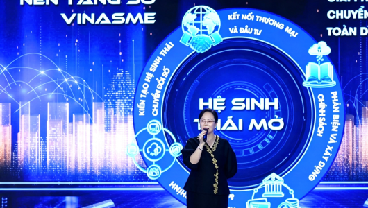 Phó Chủ tịch VINASME Đặng Huỳnh Ức My: Kiến tạo hệ sinh thái số, nâng tầm doanh nghiệp Việt