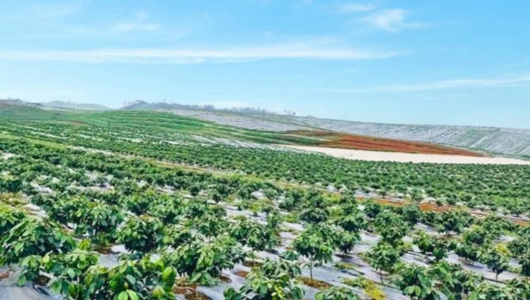 Hoàng Anh Gia Lai hoàn tất chào bán 18,8 triệu cổ phiếu lần đầu ra công chúng