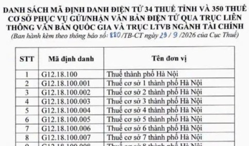 Từ ngày 1/10/2026, 384 cơ quan thuế trên cả nước dùng mã định danh điện tử mới